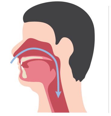 ทางเดินหายใจที่ไม่โดยปิดกั้นและที่โดนปิดกั้น