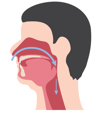 ทางเดินหายใจที่ไม่โดยปิดกั้นและที่โดนปิดกั้น