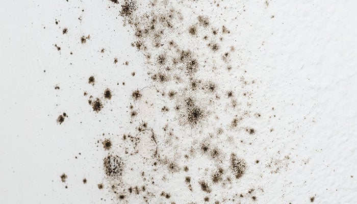 สารก่อภูมิแพ้ที่บ้าน - อากาศ