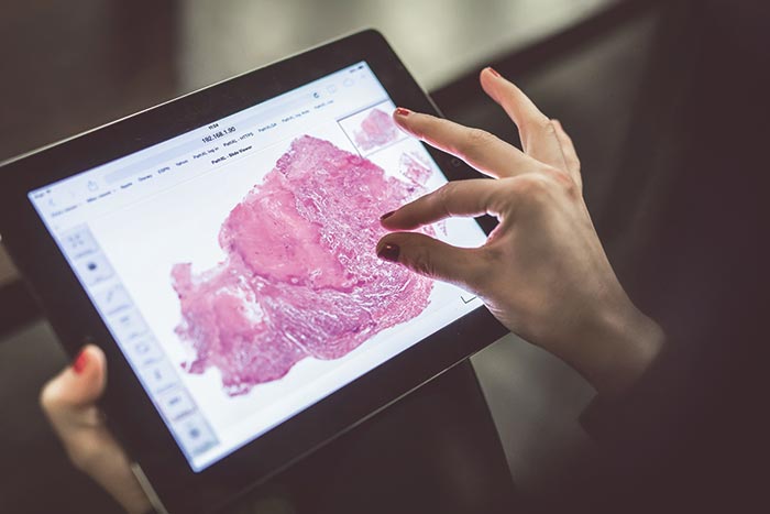 digital pathology education